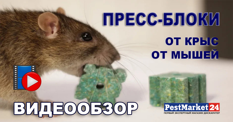 Пресс-блоки универсальная родентицидная приманка от крыс и мышей. Средство для дератизации объектов